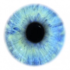 Komplementäre Augenheilkunde nach dem Longvity-Eyes-Konzept